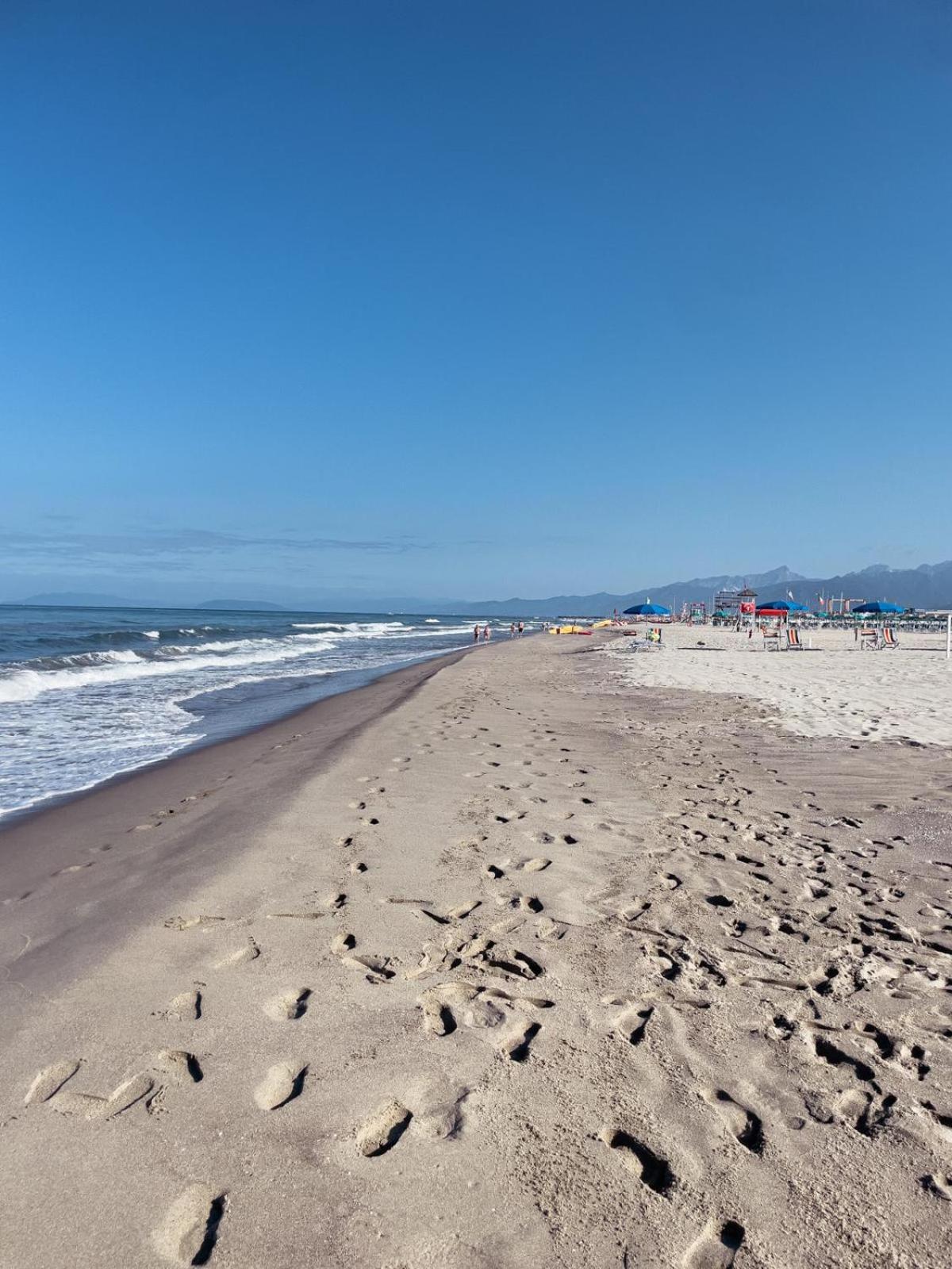 Glamping Tent With Bathroom - Tuscany Next To Sea! Viareggio Exterior foto